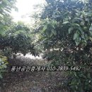 남원읍사무소 이미지