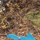 팔공산왕건길 4코스 이미지