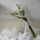 카라 웨딩 촬영부케 _ 전주 꽃집 AGOTT FLOWER 아고트플라워 _신시가지 효자동 경찰청 근처