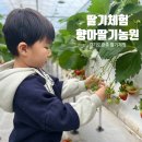 (주)향아 이미지