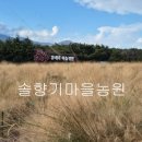 랜드휴