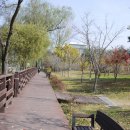 금강 자전거길 이미지