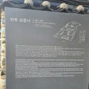 삼절사 | 김해 점집 매화당 - 기장 죽성리 나무, 반송 삼절사 인사