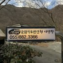 둥지펜션 야영장 이미지