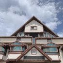 산호가든 이미지