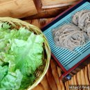 노래곡막국수 이미지