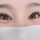수원-1923 | 매탄동속눈썹 조용, 깔끔하고 위생적으로 관리해주는 곳 네일도속눈썹
