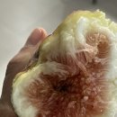 지에스25 창원도계시장점 이미지