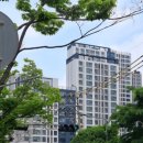 내손중앙로~내손로 이미지