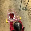 재연농장 | 인천 딸기농장체험 두돌아기와 “산모퉁이딸기체험”