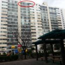 하단동1175 이미지