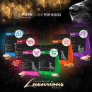 펫 로드스타 컴퍼니 이미지