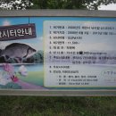 청풍호반낚시터 Daum카페