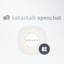 피부에오광(光)