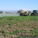 스피드행정사사무소 이미지