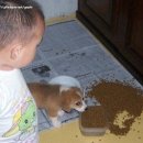 운동하는데 이미지