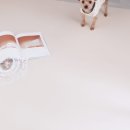 개놀자 | 강아지롤매트 추천 개놀자 강아지 미끄럼방지 매트