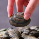 고창바지락칼국수 이미지