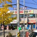 포항청마복싱다이어트클럽 이미지