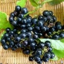 설천면118 이미지