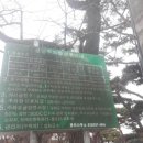 동막 민박 이미지