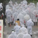 고 수정사 이미지