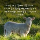 ＜오늘, 묵상＞ 울타리를 주신 이유! 이미지