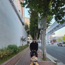 건들바위한의원 이미지