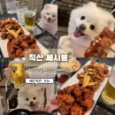 쎄시봉 | 직산 쎄시봉 애견동반 테라스 치맥 후기 - 순살 치킨 맛집에서 가볍게 한잔