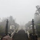 마리아농장 | [유럽여행]포르투 근교 브라가 기마랑이스 투어 내돈내산 후기