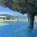 진양호캐리비안 이미지