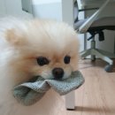 대마도 비박 이미지