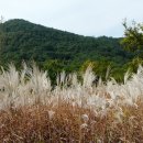 당호농장 이미지