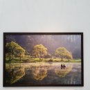 제7회 환경사랑 음악회 이미지