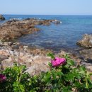 이사부길 이미지