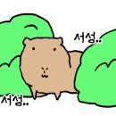 리버스의원 네이버블로그