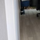 커피쿡덕계역점