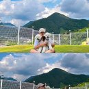 포메리카노 이미지