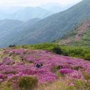 ﻿[新택리지]‘고대’와 ‘현대’가 만나는 전원·레저도시, 전남 화순 이미지