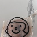 벽돌집순이 이미지