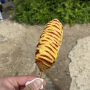 양평 핫도그 맛집 두물머리 여낫도그 솔직 방문후기 ! 느티나무 주차장 안 숨은 명소