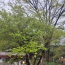 힐링워커스 이미지