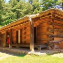 잣향기푸른숲 유아숲체험원 이미지