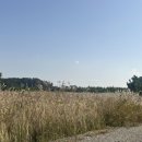 백사장진미각 이미지