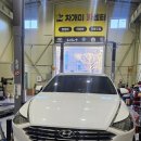 개미카센타 이미지