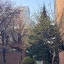 샬트르성바오로수녀회 역사박물관 이미지