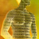 생명예찬2 이미지