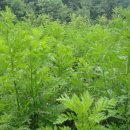 유암농장 이미지