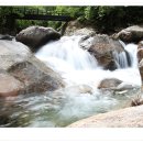 지리산내음 이미지