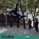 합기도 봉연관 신촌도장 | 봉연관 합기도 시범단